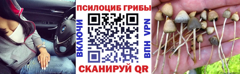 цены hydra сайт Галлюциногенные грибы Cubensis Новый Оскол